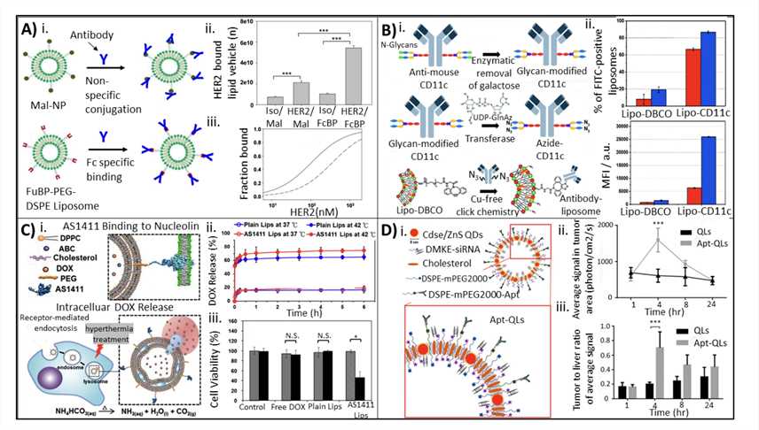 Bioconjugation Strategies Using Antibodies And Aptamers For Improved Drug Targeting And Delivery. 